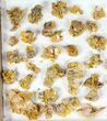 Flat: to Wulfenite Clusters - Pieces #105343-1